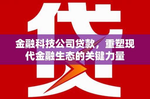 西海岸金融科技公司贷款，重塑现代金融生态的关键力量