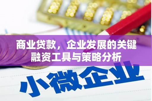 西海岸商业贷款，企业发展的关键融资工具与策略分析
