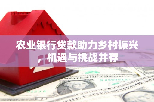 西海岸农业银行贷款助力乡村振兴，机遇与挑战并存