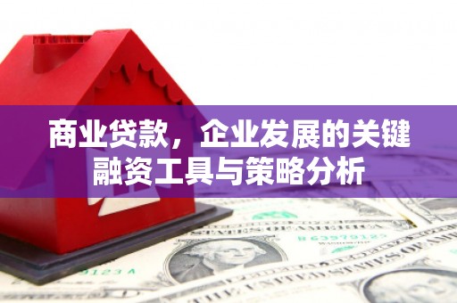 西海岸商业贷款，企业发展的关键融资工具与策略分析