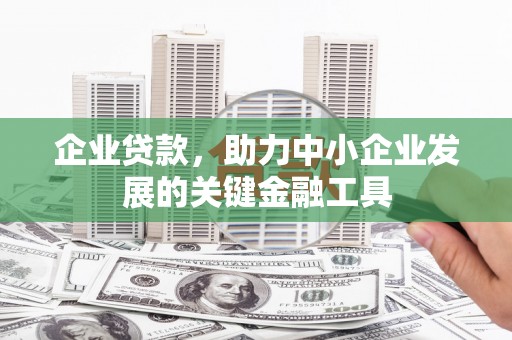 西海岸企业贷款，助力中小企业发展的关键金融工具