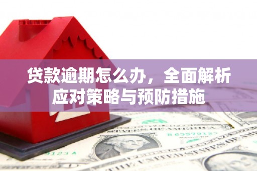 西海岸贷款逾期怎么办，全面解析应对策略与预防措施