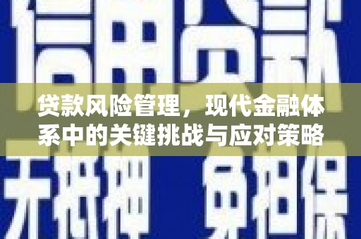 西海岸贷款风险管理，现代金融体系中的关键挑战与应对策略