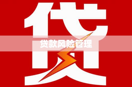 西海岸贷款风险管理