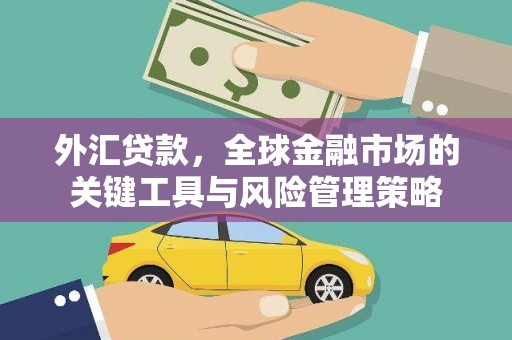 西海岸外汇贷款，全球金融市场的关键工具与风险管理策略
