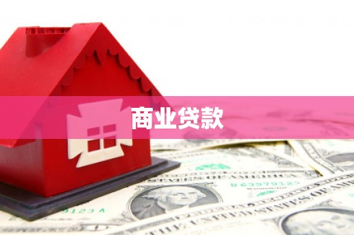 西海岸商业贷款