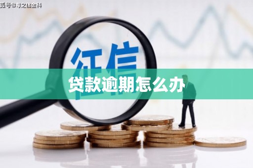 西海岸贷款逾期怎么办