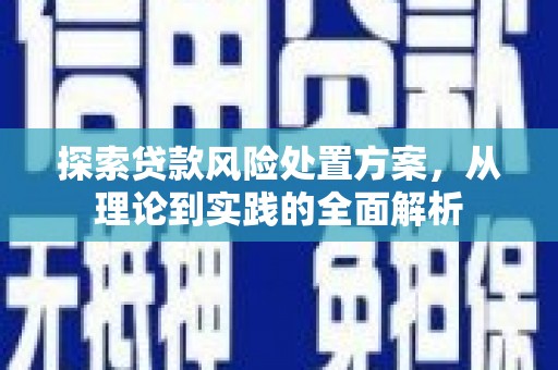 西海岸探索贷款风险处置方案，从理论到实践的全面解析