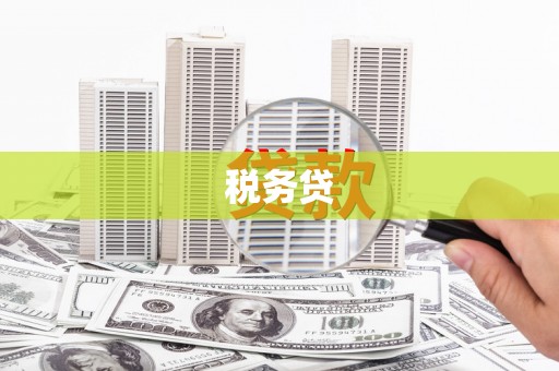 西海岸税务贷