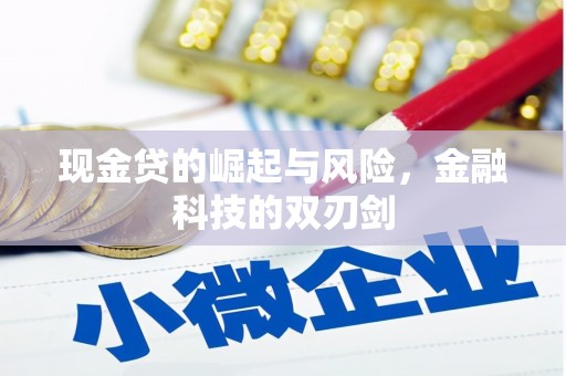 西海岸现金贷的崛起与风险，金融科技的双刃剑