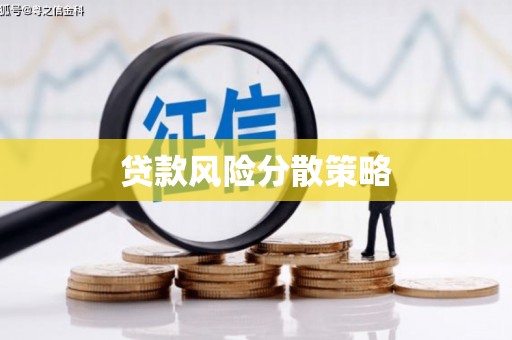 西海岸贷款风险分散策略