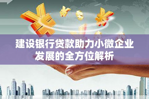 西海岸建设银行贷款助力小微企业发展的全方位解析