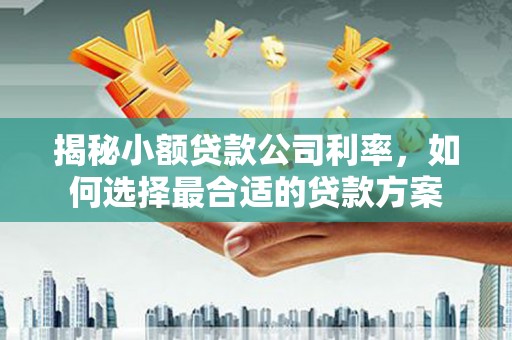 西海岸揭秘小额贷款公司利率，如何选择最合适的贷款方案