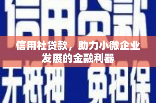 西海岸信用社贷款，助力小微企业发展的金融利器