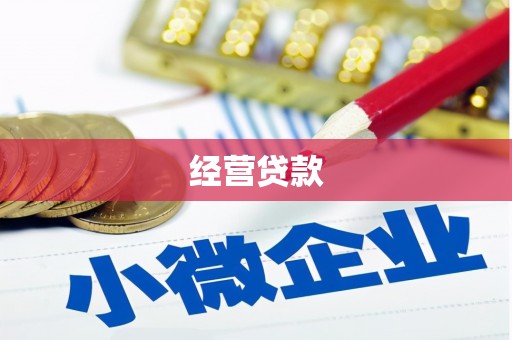 西海岸经营贷款