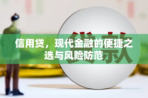 西海岸信用贷，现代金融的便捷之选与风险防范