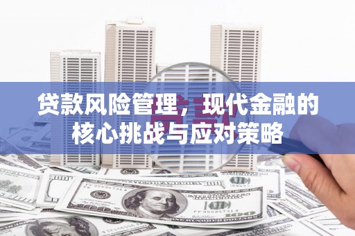 西海岸贷款风险管理，现代金融的核心挑战与应对策略