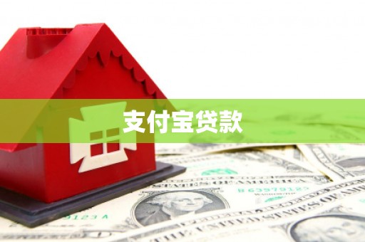 西海岸支付宝贷款
