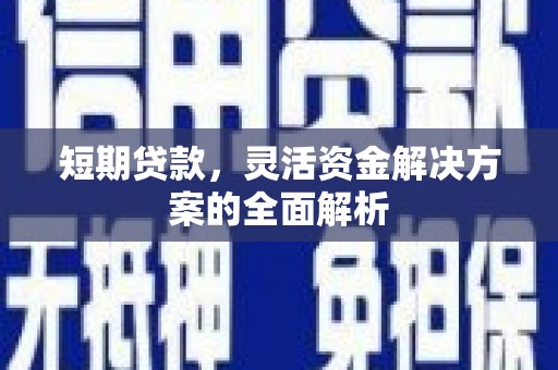西海岸短期贷款，灵活资金解决方案的全面解析