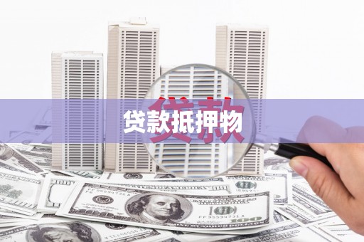 西海岸贷款抵押物