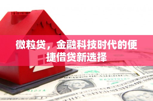西海岸微粒贷，金融科技时代的便捷借贷新选择