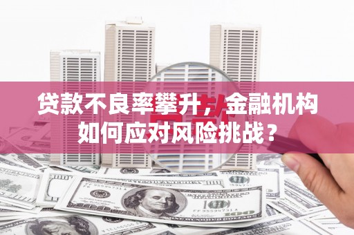 西海岸贷款不良率攀升，金融机构如何应对风险挑战？