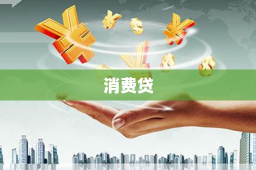 西海岸消费贷