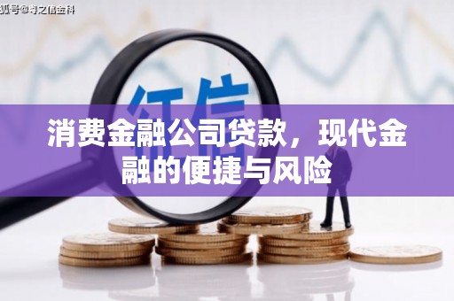 西海岸消费金融公司贷款，现代金融的便捷与风险