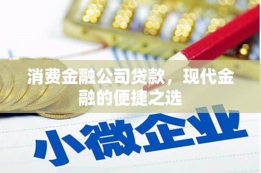 西海岸消费金融公司贷款，现代金融的便捷之选
