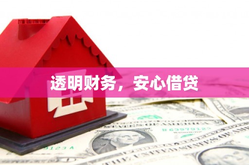 西海岸透明财务，安心借贷