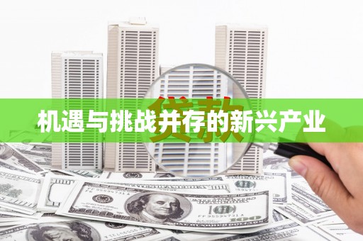 西海岸机遇与挑战并存的新兴产业