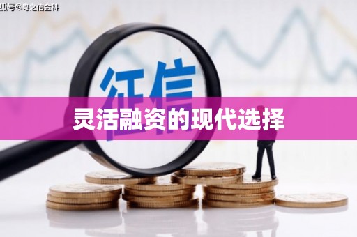 西海岸灵活融资的现代选择
