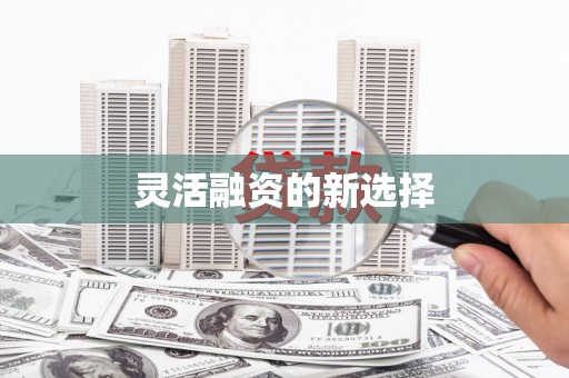 西海岸灵活融资的新选择