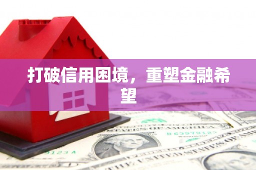西海岸打破信用困境，重塑金融希望