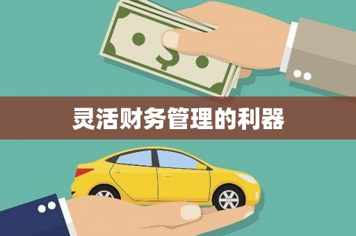 西海岸灵活财务管理的利器
