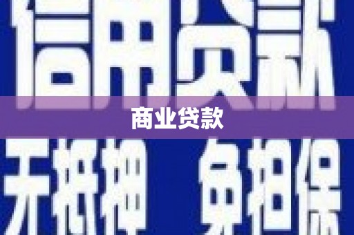 西海岸商业贷款