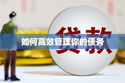 西海岸如何高效管理你的债务
