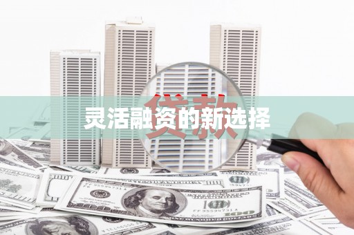 西海岸灵活融资的新选择
