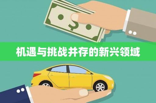 西海岸机遇与挑战并存的新兴领域