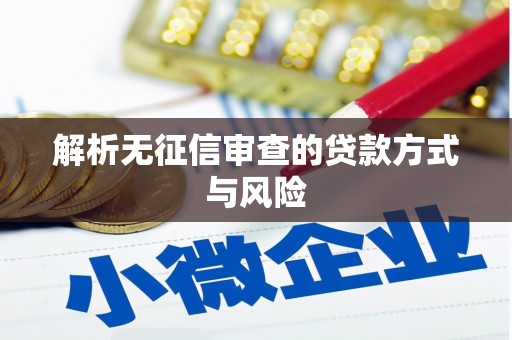 西海岸解析无征信审查的贷款方式与风险