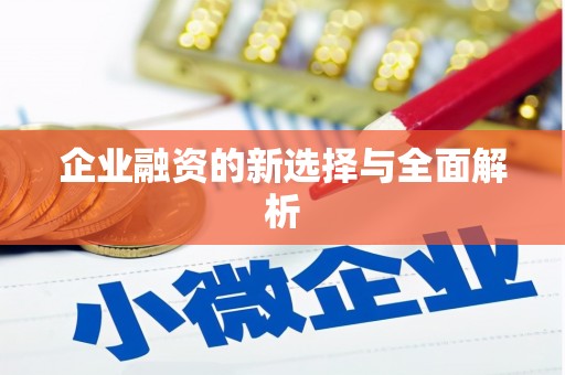 西海岸企业融资的新选择与全面解析