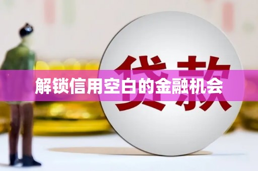 西海岸解锁信用空白的金融机会