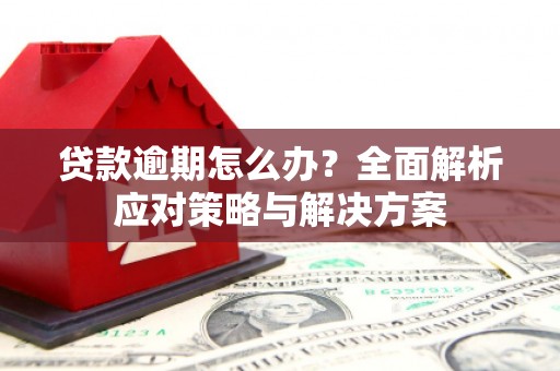 西海岸贷款逾期怎么办？全面解析应对策略与解决方案