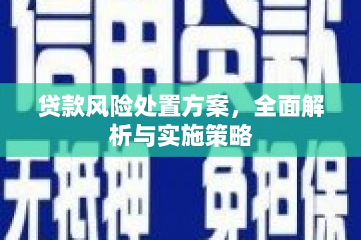 西海岸贷款风险处置方案，全面解析与实施策略