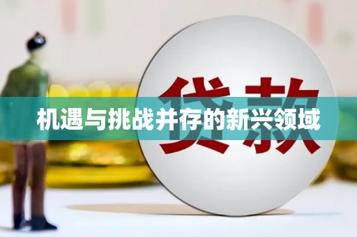 西海岸机遇与挑战并存的新兴领域