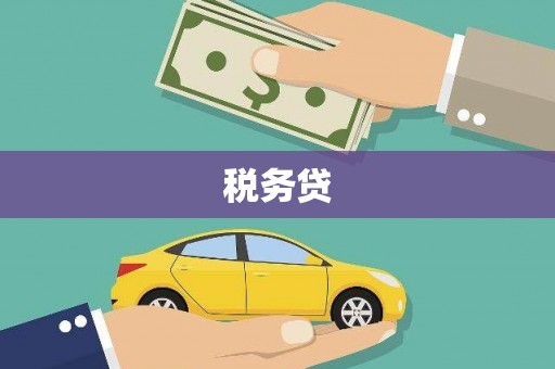 西海岸税务贷