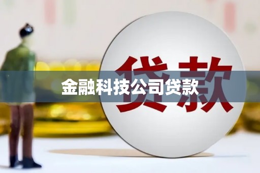 西海岸金融科技公司贷款