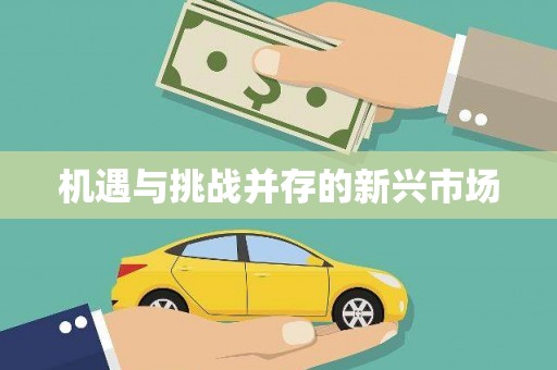 西海岸机遇与挑战并存的新兴市场