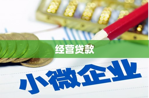 西海岸经营贷款