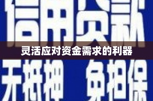 西海岸灵活应对资金需求的利器